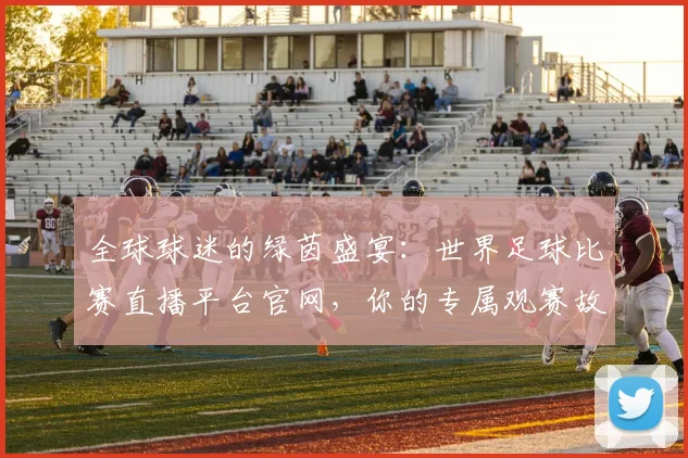 全球球迷的绿茵盛宴：世界足球比赛直播平台官网，你的专属观赛故事