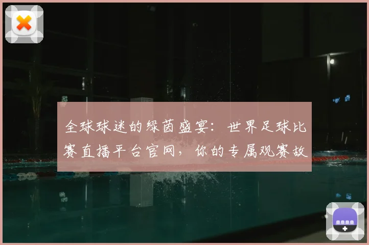 全球球迷的绿茵盛宴：世界足球比赛直播平台官网，你的专属观赛故事